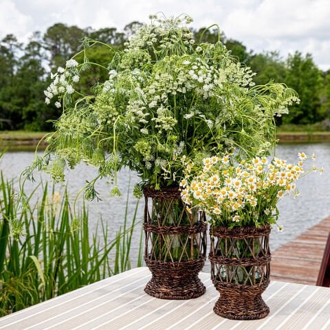 Devon Willow 12'' Hurricane