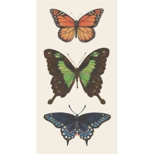 Butterfly Misafir Peçetesi 16li Paket