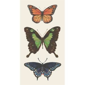 Butterfly Guest Napkin Pack of 16