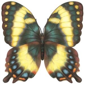 Die-cut Butterfly Placemat - 12 Sheets