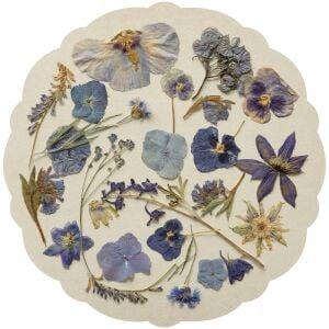 Kalıp Kesim Periwinkle Petals Kağıt Amerikan Servis 12li Paket