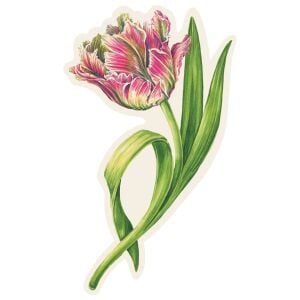 Parrot Tulip Masa Dekoru 12li Paket