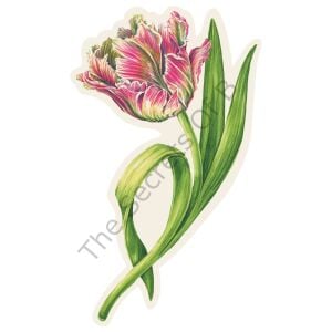 Parrot Tulip Masa Dekoru 12li Paket
