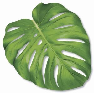 Kalıp Kesim Monstera Leaf Kağıt Amerikan Servis 12li Paket