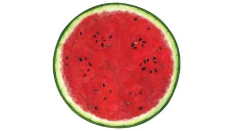 Die Cut Watermelon Placemat - 12 Sheets