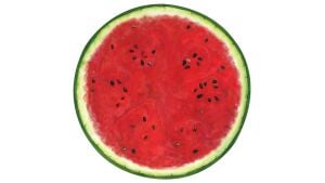 Die Cut Watermelon Placemat - 12 Sheets