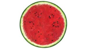 Kalıp Kesim Watermelon Kağıt Amerikan Servis 12li Paket