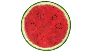 Kalıp Kesim Watermelon Kağıt Amerikan Servis 12li Paket