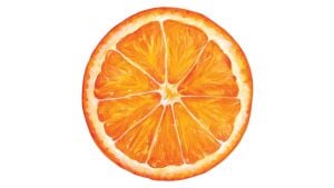 Die-Cut Orange Slice Placemat