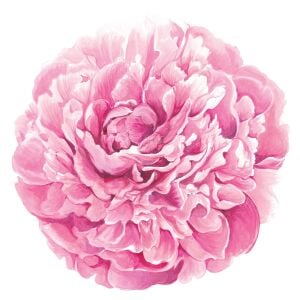 Die Cut Peony Placemat - 12 sheets