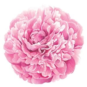 Kalıp Kesim Peony Kağıt Amerikan Servis 12li Paket