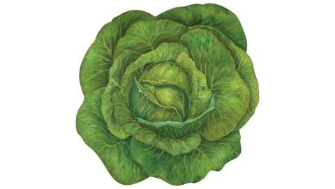 Die-cut Cabbage Placemat - Pack of 12 sheets