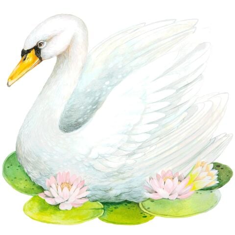 Die-cut Fabulous Swan Placemat - 12 sheets