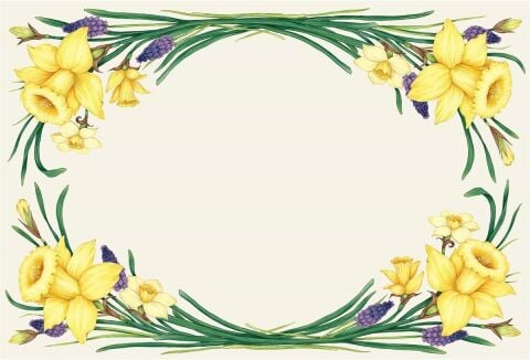 Daffodil Placemat - 24 Sheets