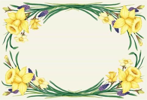 Daffodil Placemat - 24 Sheets