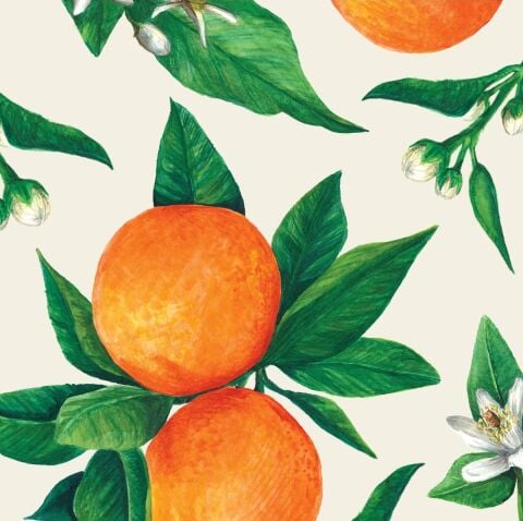 Orange Orchard Cocktail Napkin - pack of 20
