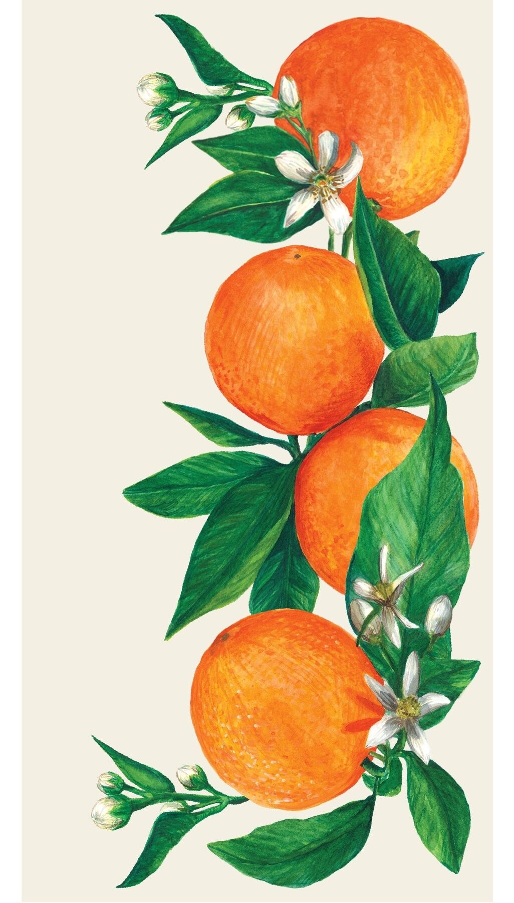 Orange Orchard Guest Napkin - pack of 16