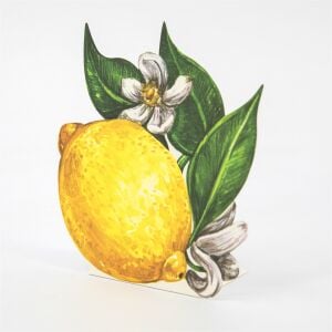 Lemon Masa Kartı 12lü Set