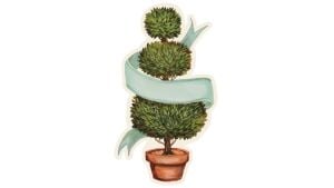 Topiary Masa Dekoru 12li Paket