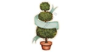 Topiary Masa Dekoru 12li Paket