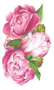 Peony Masa Dekoru 12li Paket