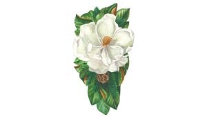 Magnolia Table Accent - pack of 12