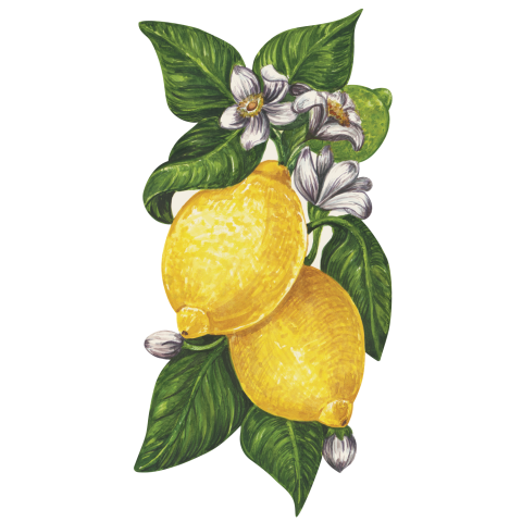 Lemon Table Accent - set of 12