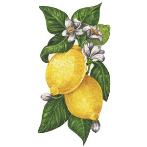 Lemon Table Accent Set Of 12