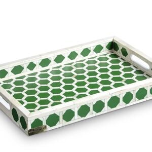 Green honeycomb patterned tray with handle