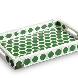 Green honeycomb patterned tray with handle