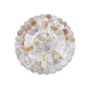 White Daisy Patterned Mother Of Pearl Coasters