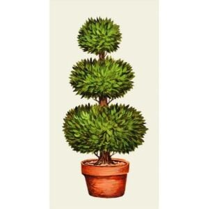 Topiary Napkins