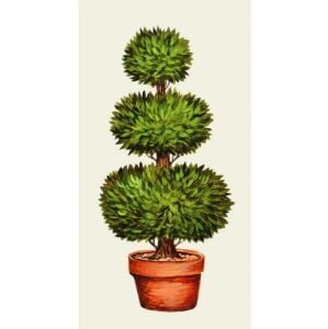 Topiary Kağıt Peçete