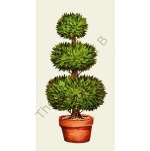 Topiary Kağıt Peçete