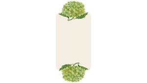 Hydrangea Table Card