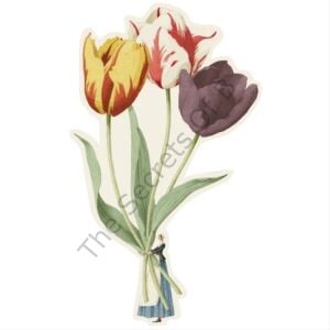 Tulips Masa Dekoru
