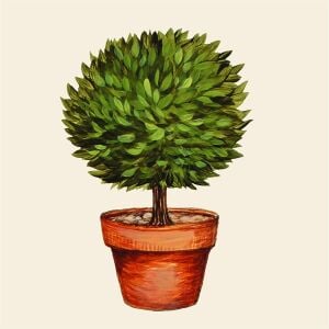Topiary Kağıt Peçete