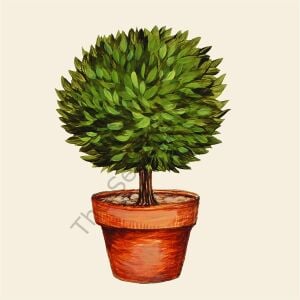 Topiary Kağıt Peçete