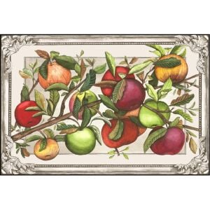 Heirloom Apples Placemat - Pad of 24