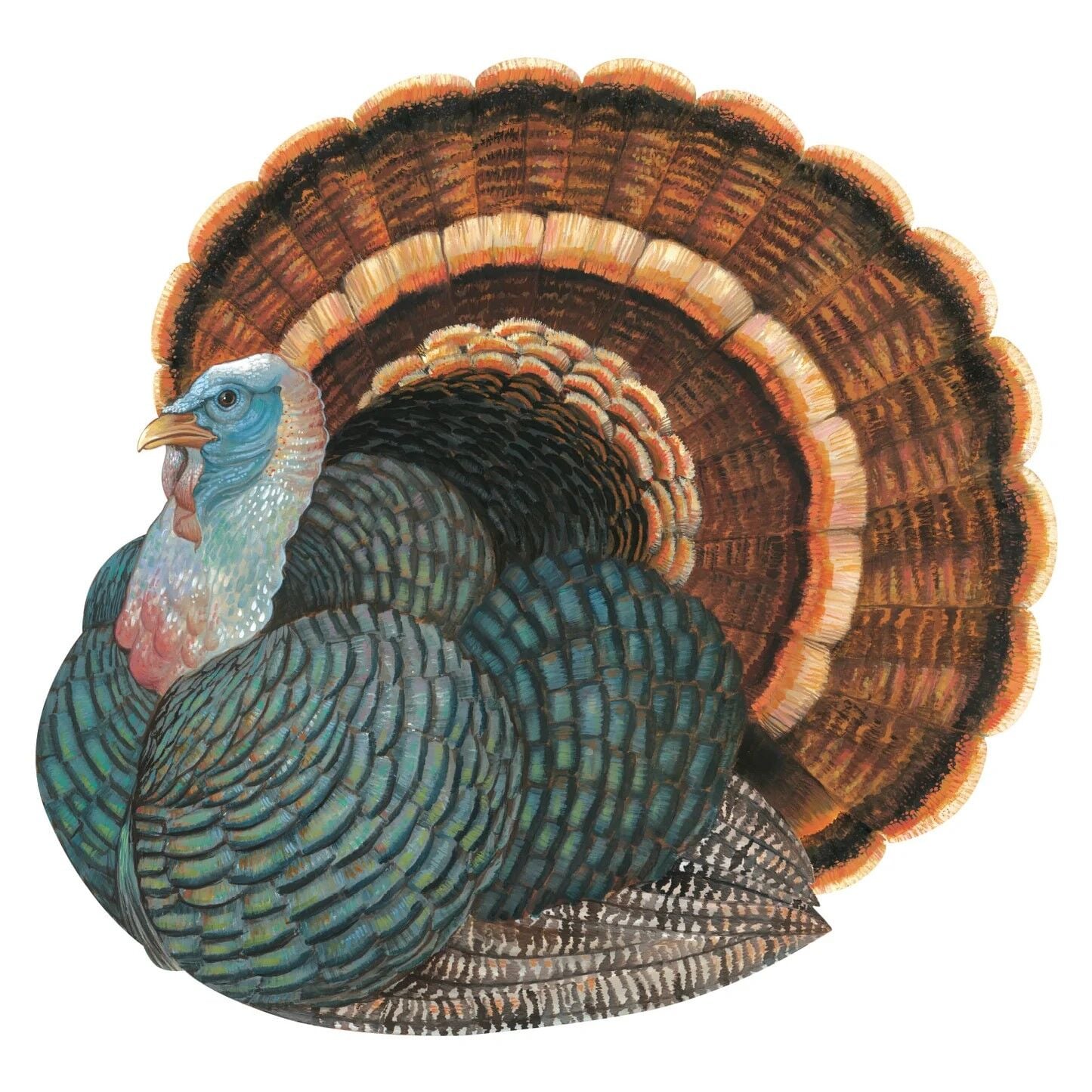 Kalıp Kesim Heritage Turkey Kağıt Amerikan Servis 12li Paket