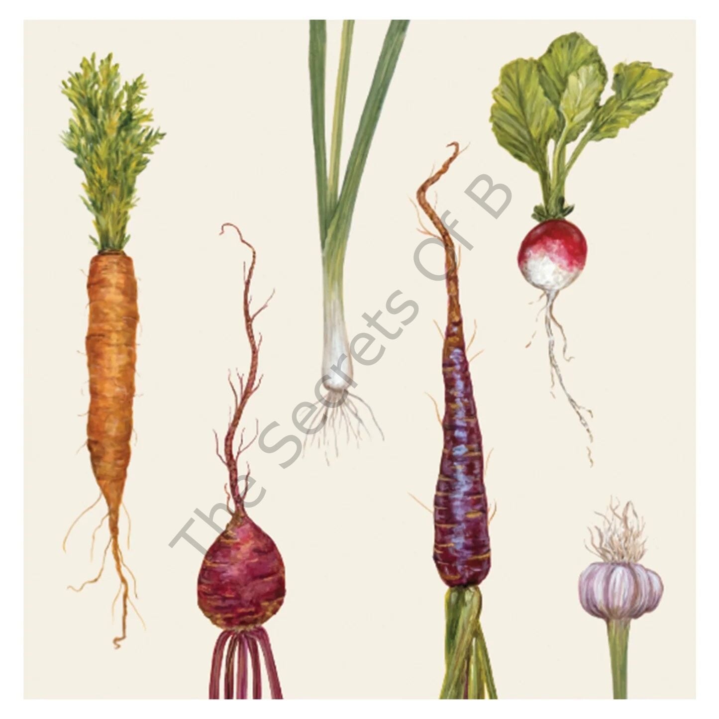 Farmers Market Kokteyl Peçetesi 20li Paket