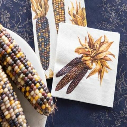 Maize Cocktail Napkin - Pack of 20