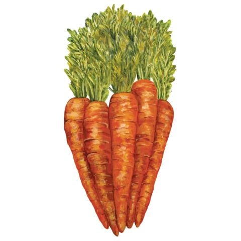 Carrots Table Accent - Pack of 12