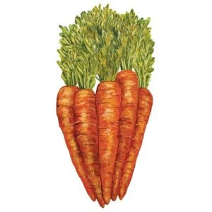 Carrots Masa Dekoru 12li Paket