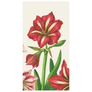 Amaryllis Bloom Misafir Peçetesi