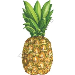 Pineapple Masa Dekoru 12li Paket