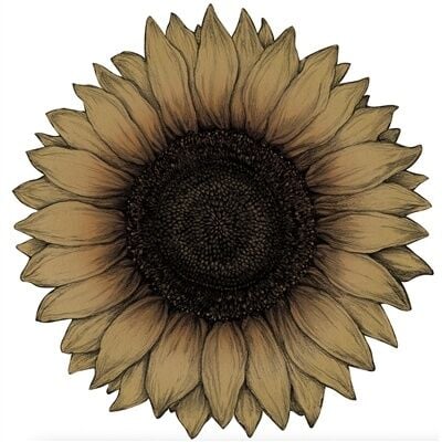Kalıp Kesim Vintage Sunflower Kağıt Amerikan Servis 12li Paket