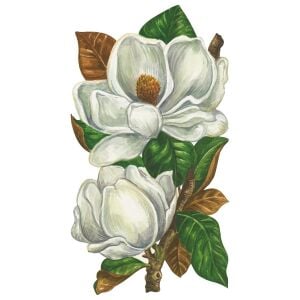 Magnolia Blooms Masa Dekoru 12li Paket