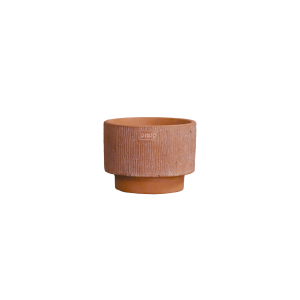 Onno Caprı Terra S  Sao Tome