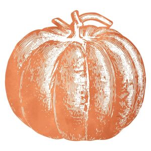 Kalıp Kesim Pumpkin Kağıt Amerikan Servis 12li Paket
